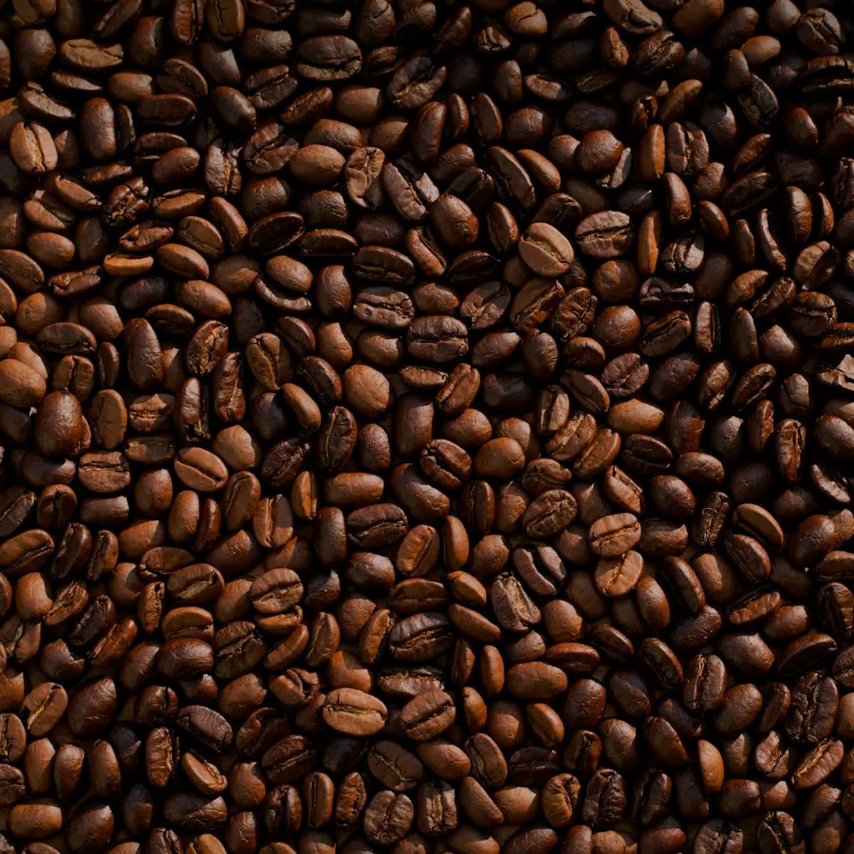 Roasted Coffee Beans, 250g