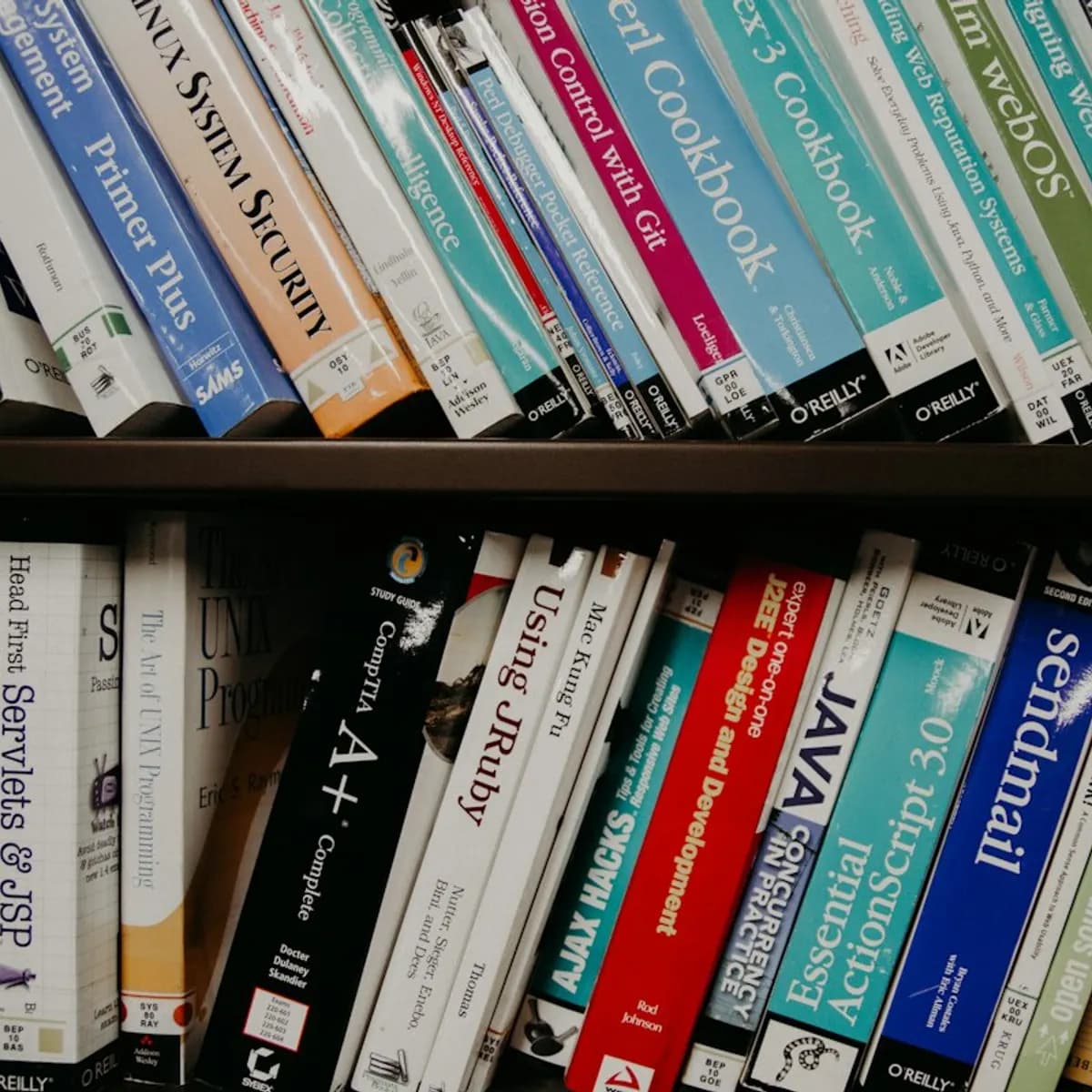 Programming and CSE Textbook Bundle (4 books)