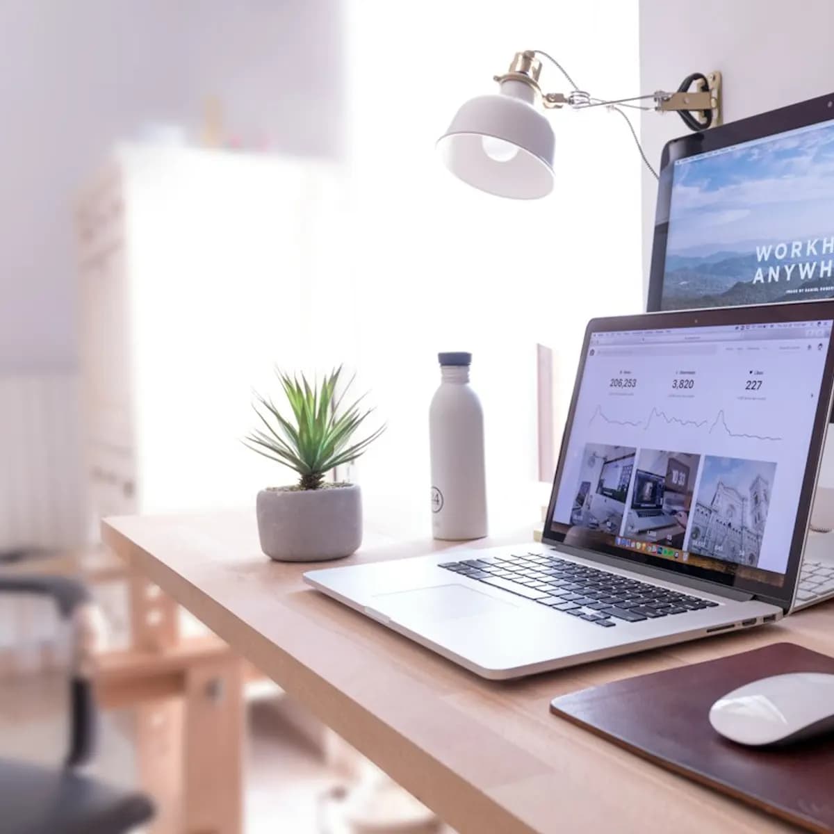 Business Website Development (WordPress / React)